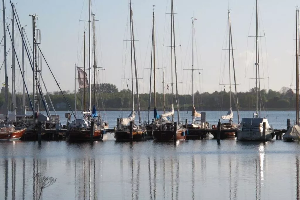288764-Areas summer 5km