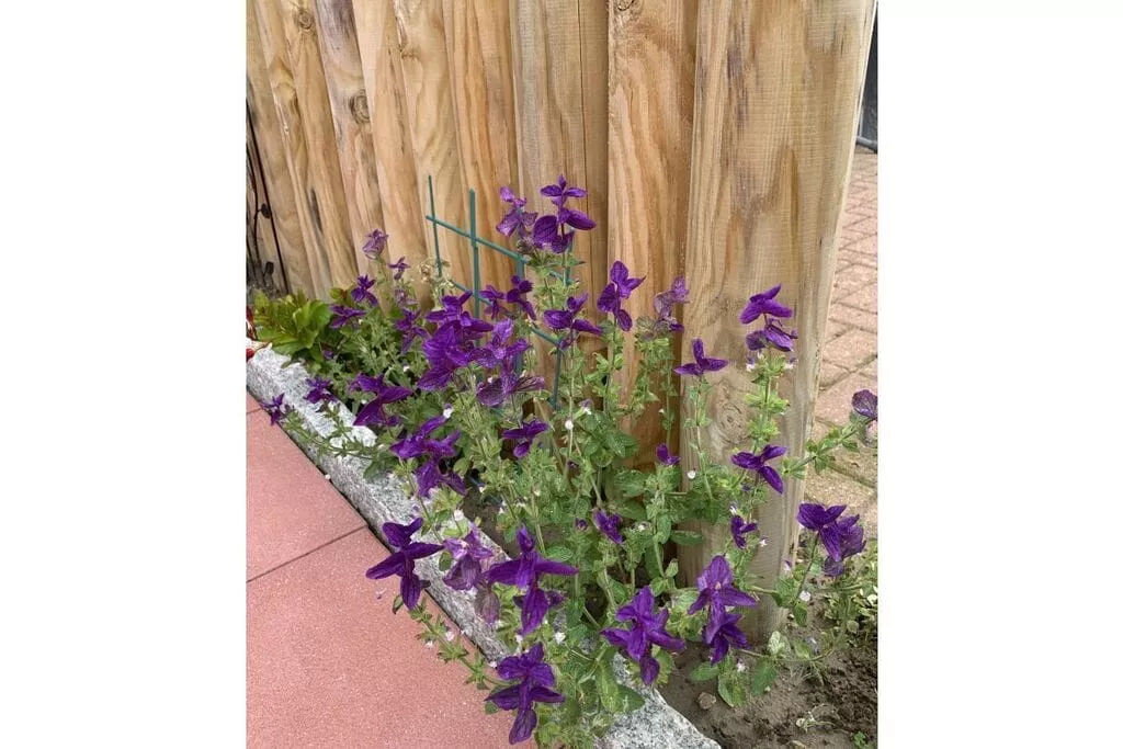 280-Gardens summer