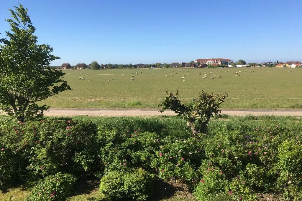 280-Areas summer 5km