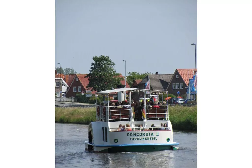 319172-Areas summer 5km