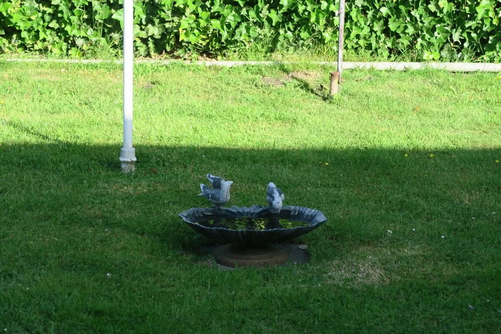 229358-Gardens summer