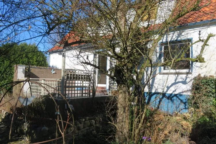 386334-Terrace
