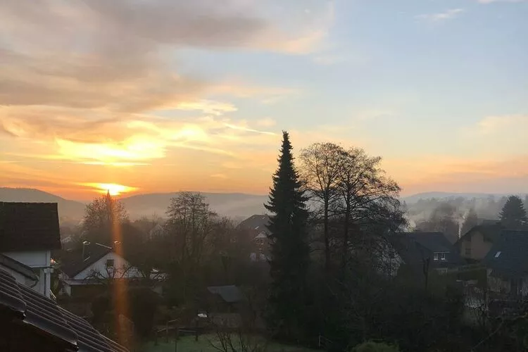 318531-View
