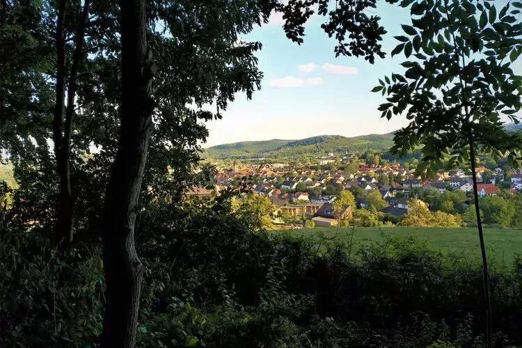 318531-View