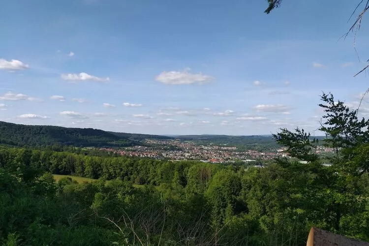 318531-View