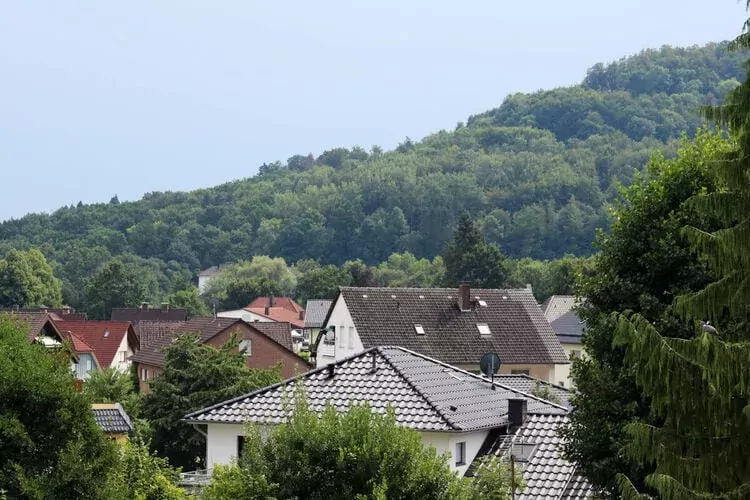 318531-View