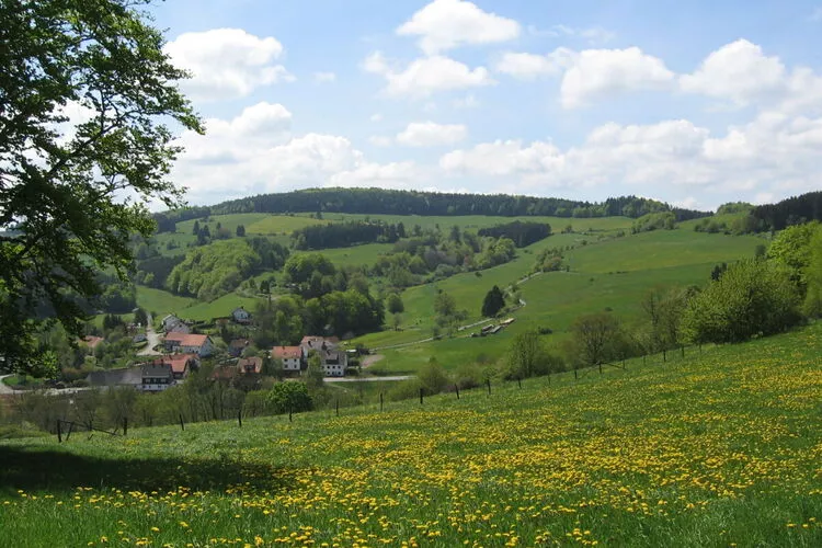 332639-View