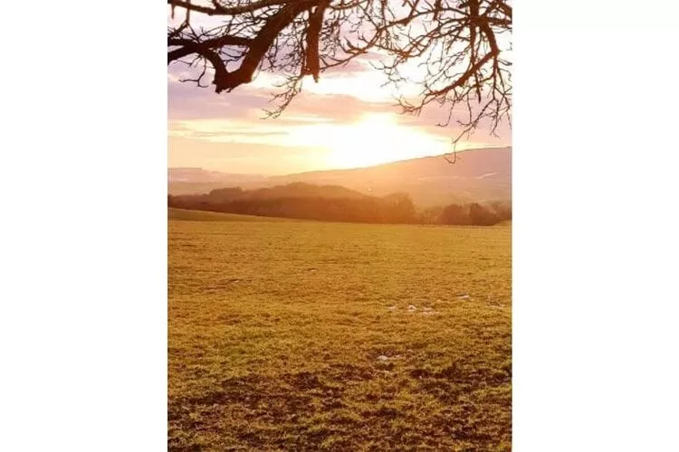393665-View