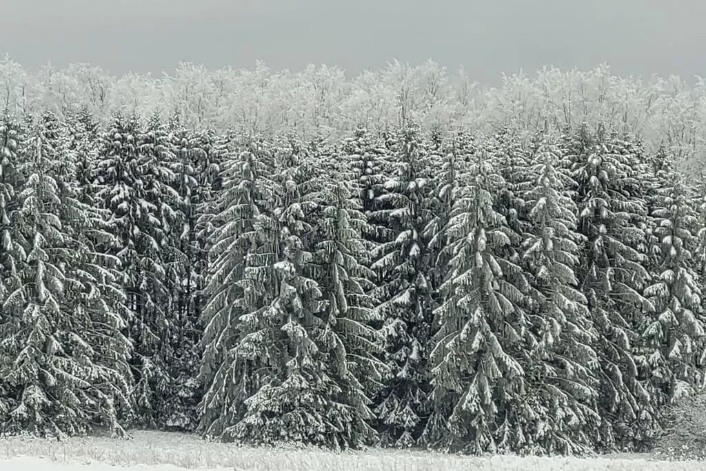 383065-Area winter 5km