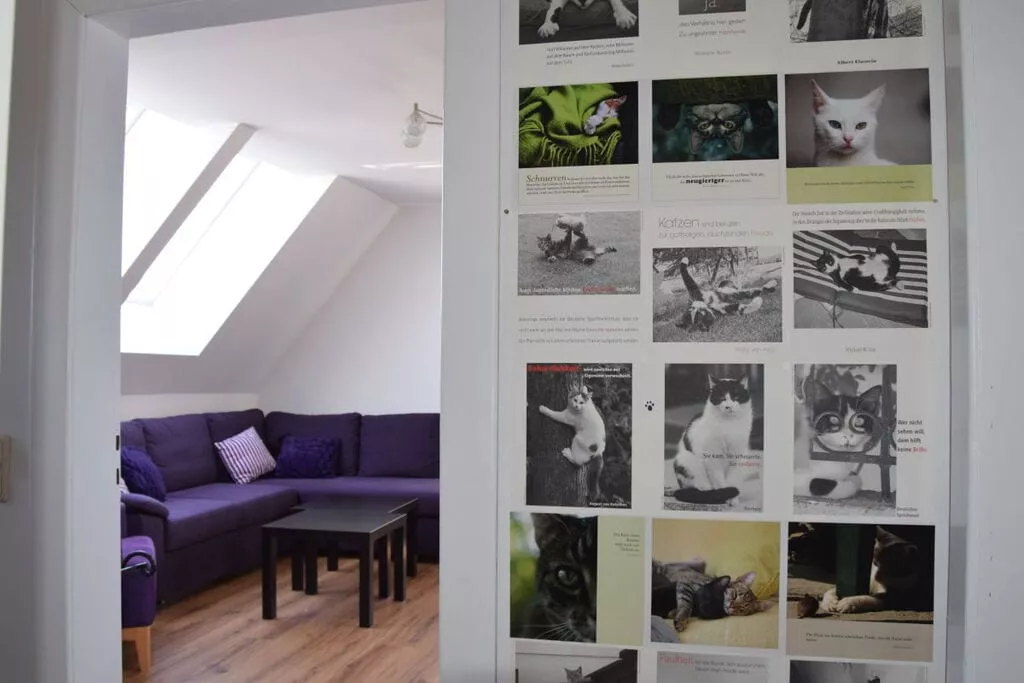 230755-Living room