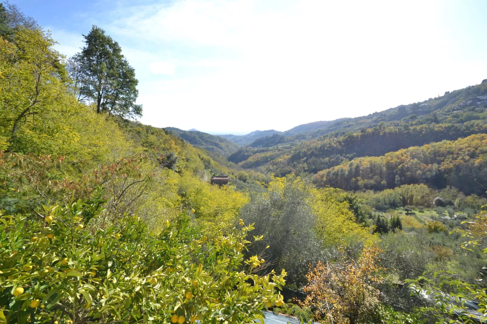 Conca oro-View summer