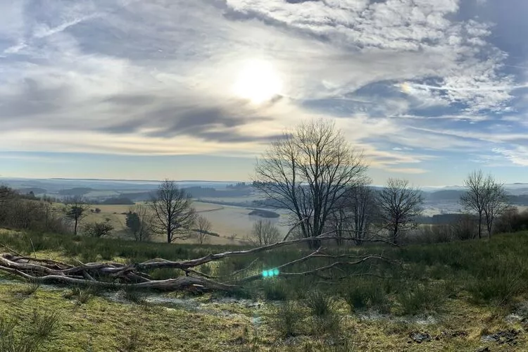 303428-View