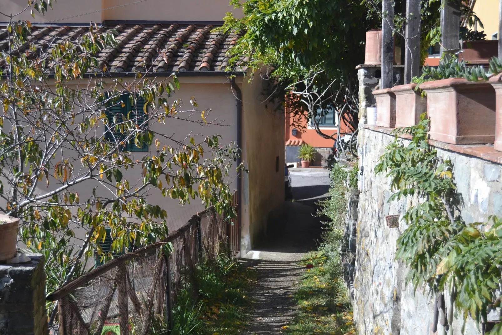 Conca oro-Areas summer 1km