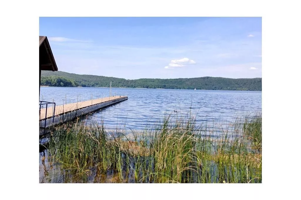 66650-Areas summer 5km