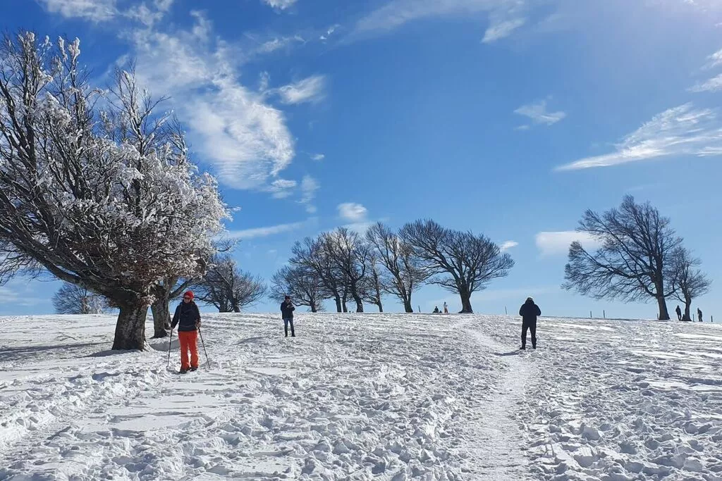 165277-Gebiet Winter 5 km