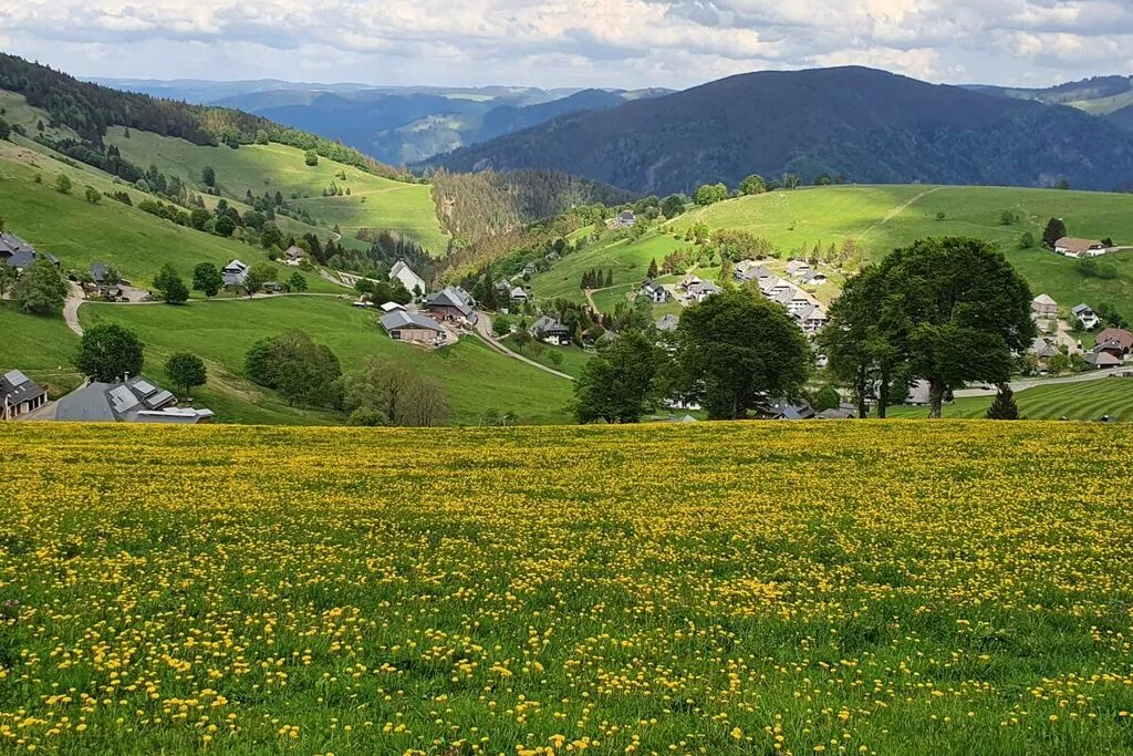 165277-Gebiete Sommer 5 km
