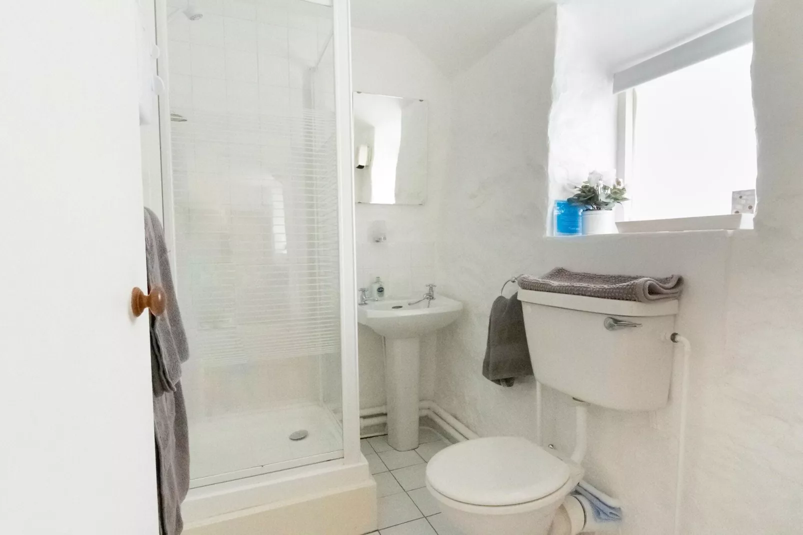 Brodawel - The Cottage-Bathroom