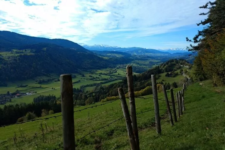 384816-Nicht getaggt