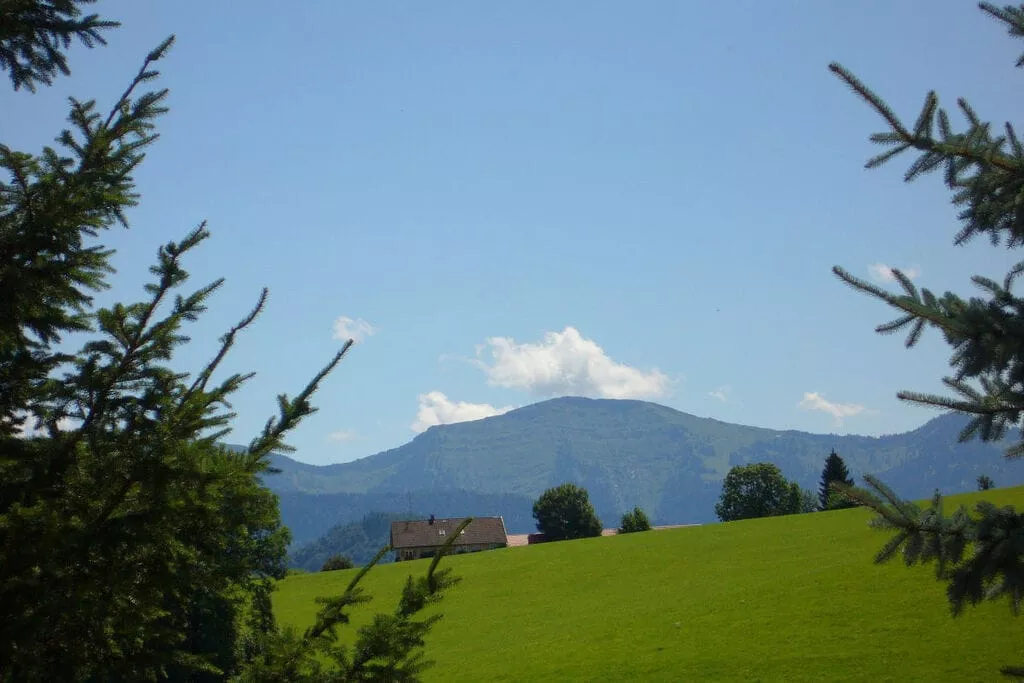37611-Nicht getaggt