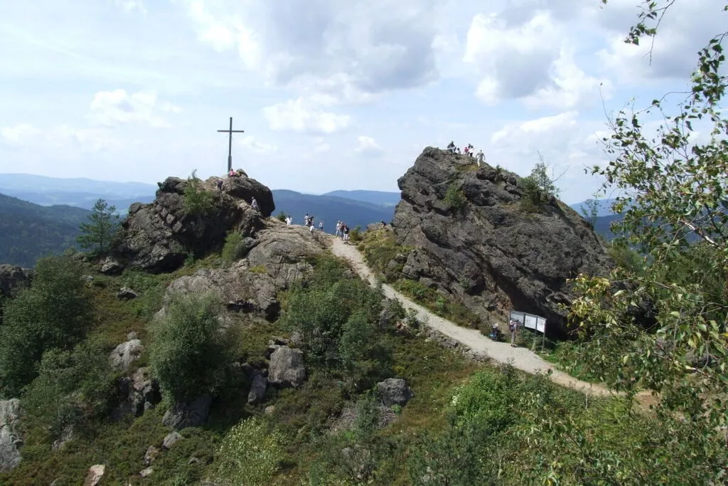 394156-Areas summer 5km