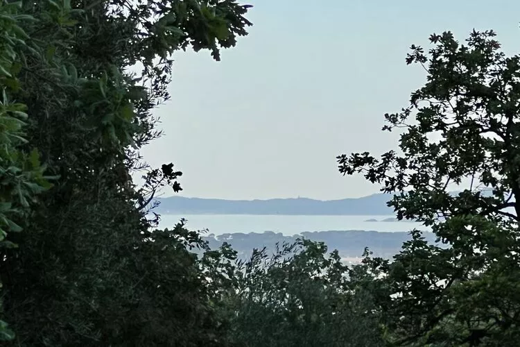 393144-Terrace