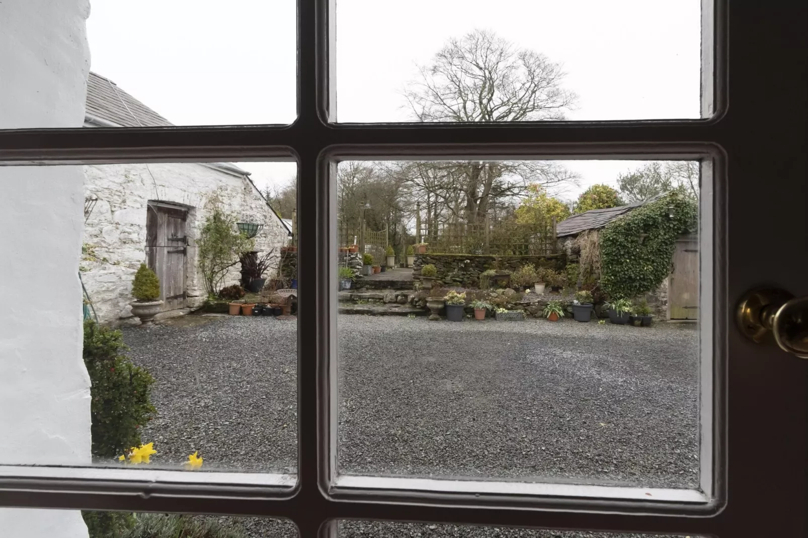 Brodawel - Field Cottage-View summer