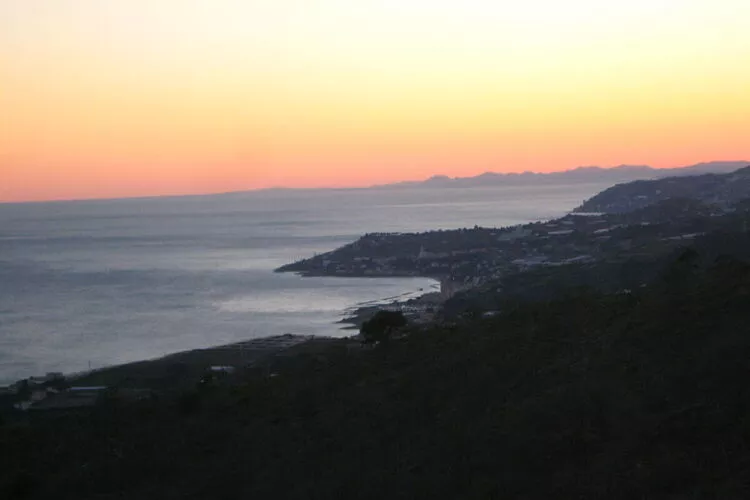 303528-View