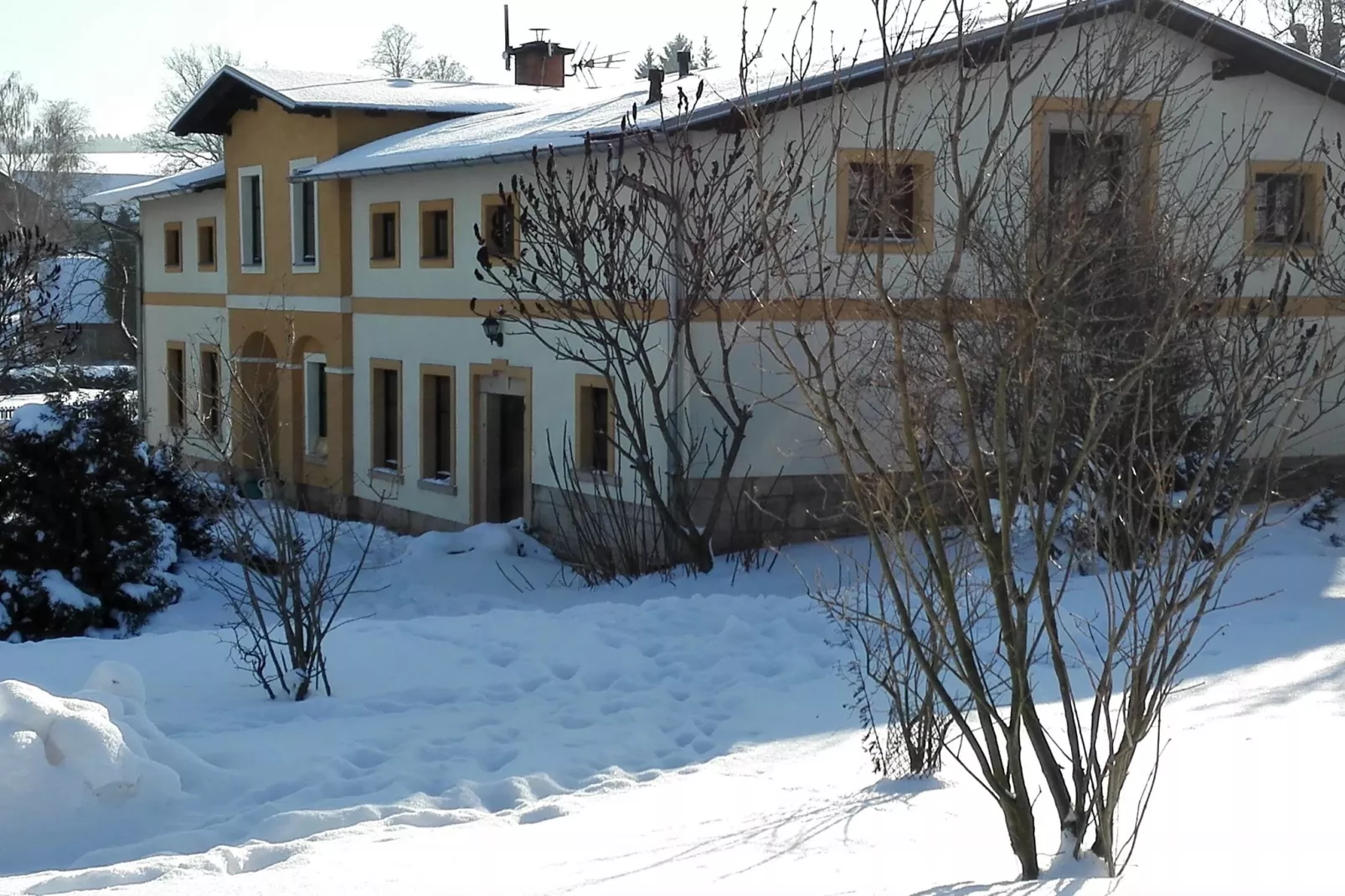 Bossa Nova-Garden winter
