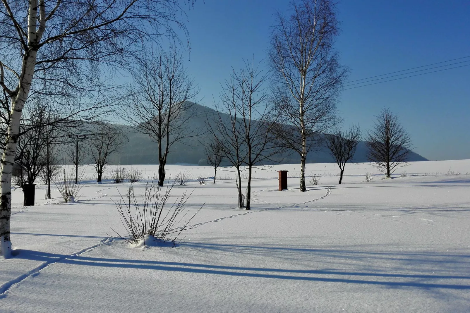 Bossa Nova-Garden winter