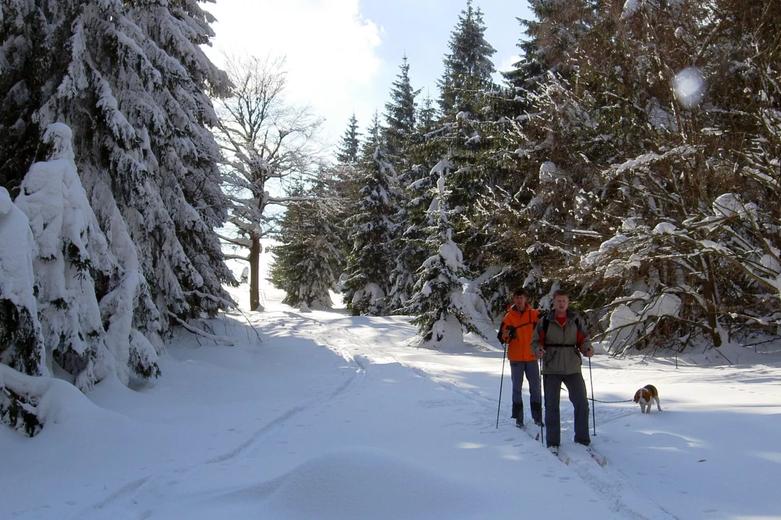 Bossa Nova-Area winter 5km