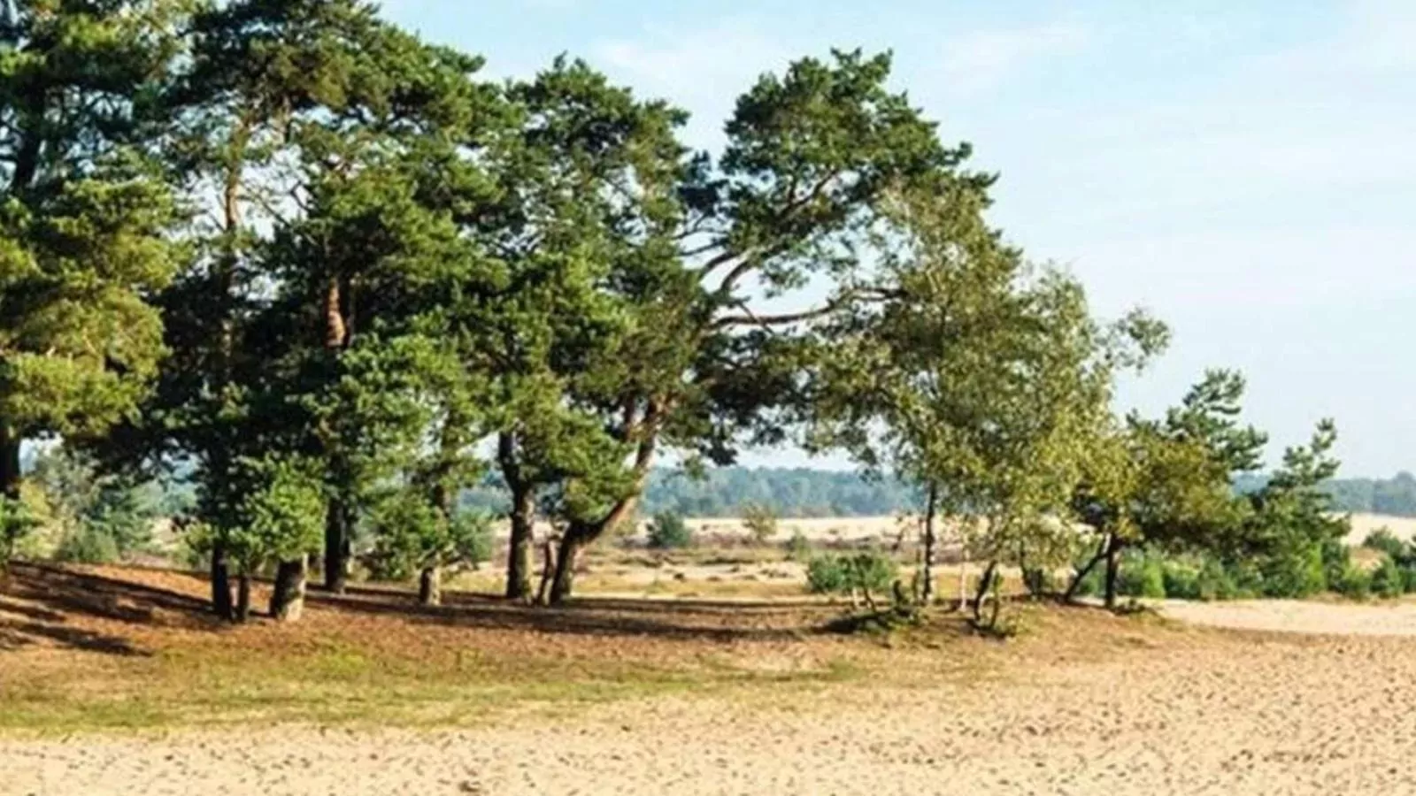 Steenenburg Zicht-Gebiete Sommer 5 km