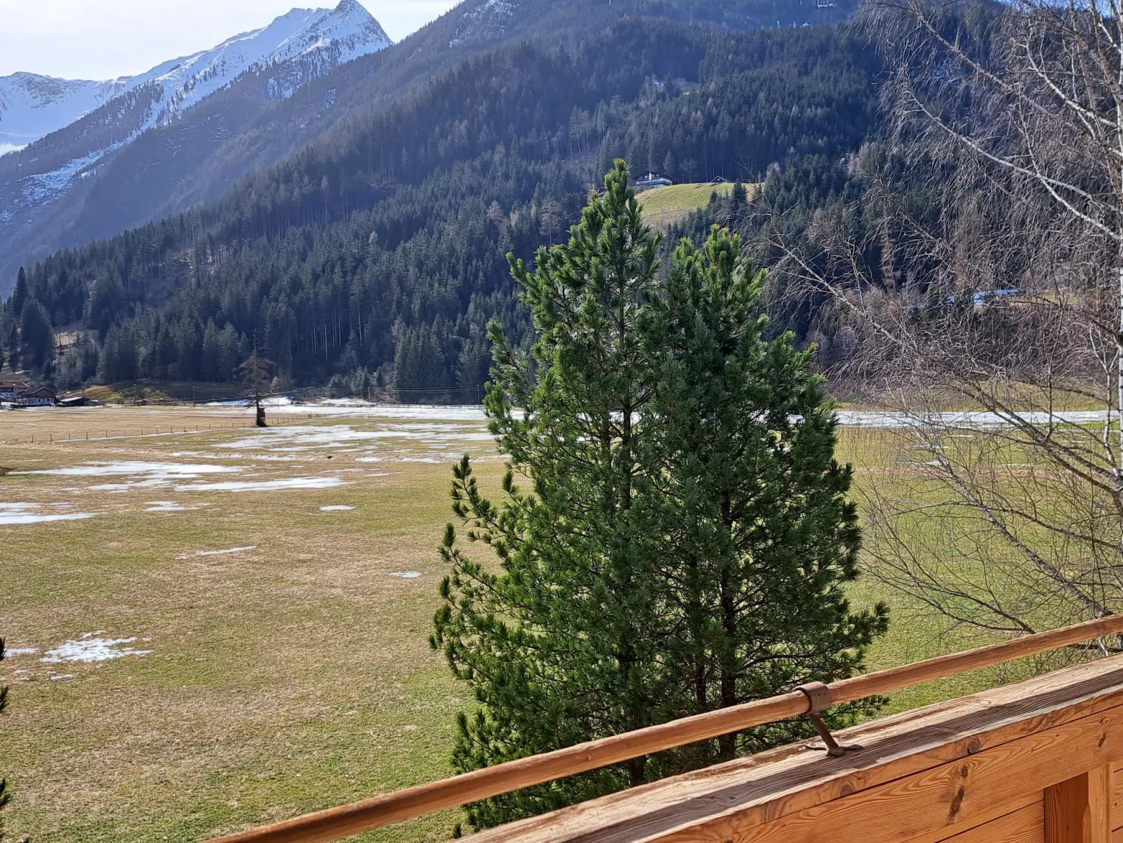 Wildkogel 1-Dehors