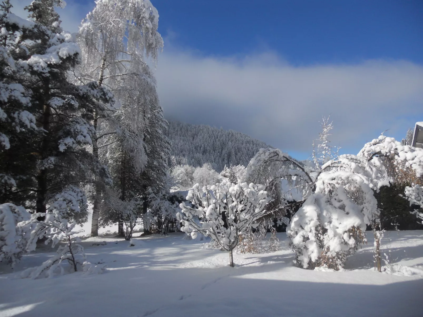 Wildkogel 1-Dehors