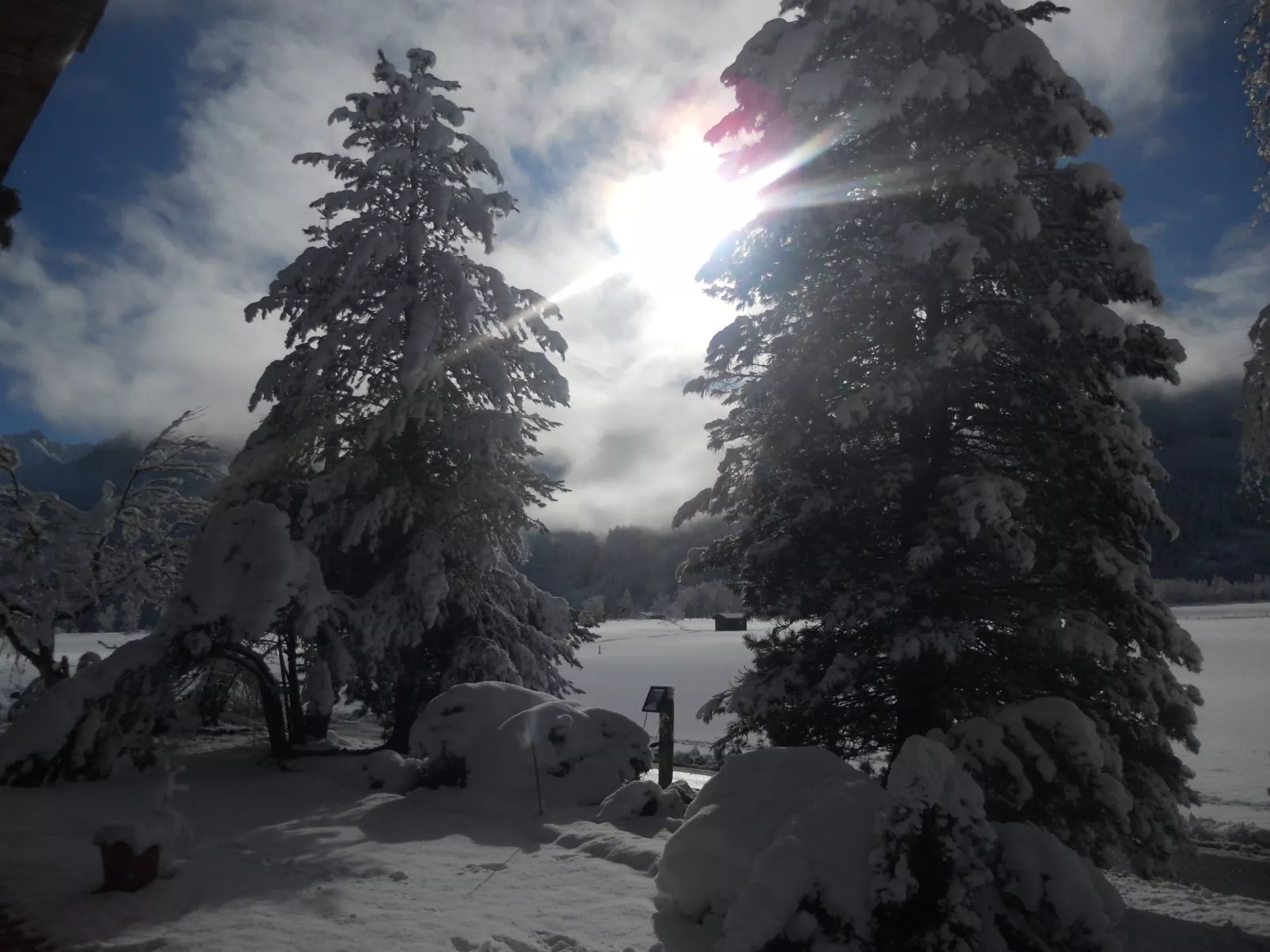 Wildkogel 1-Dehors