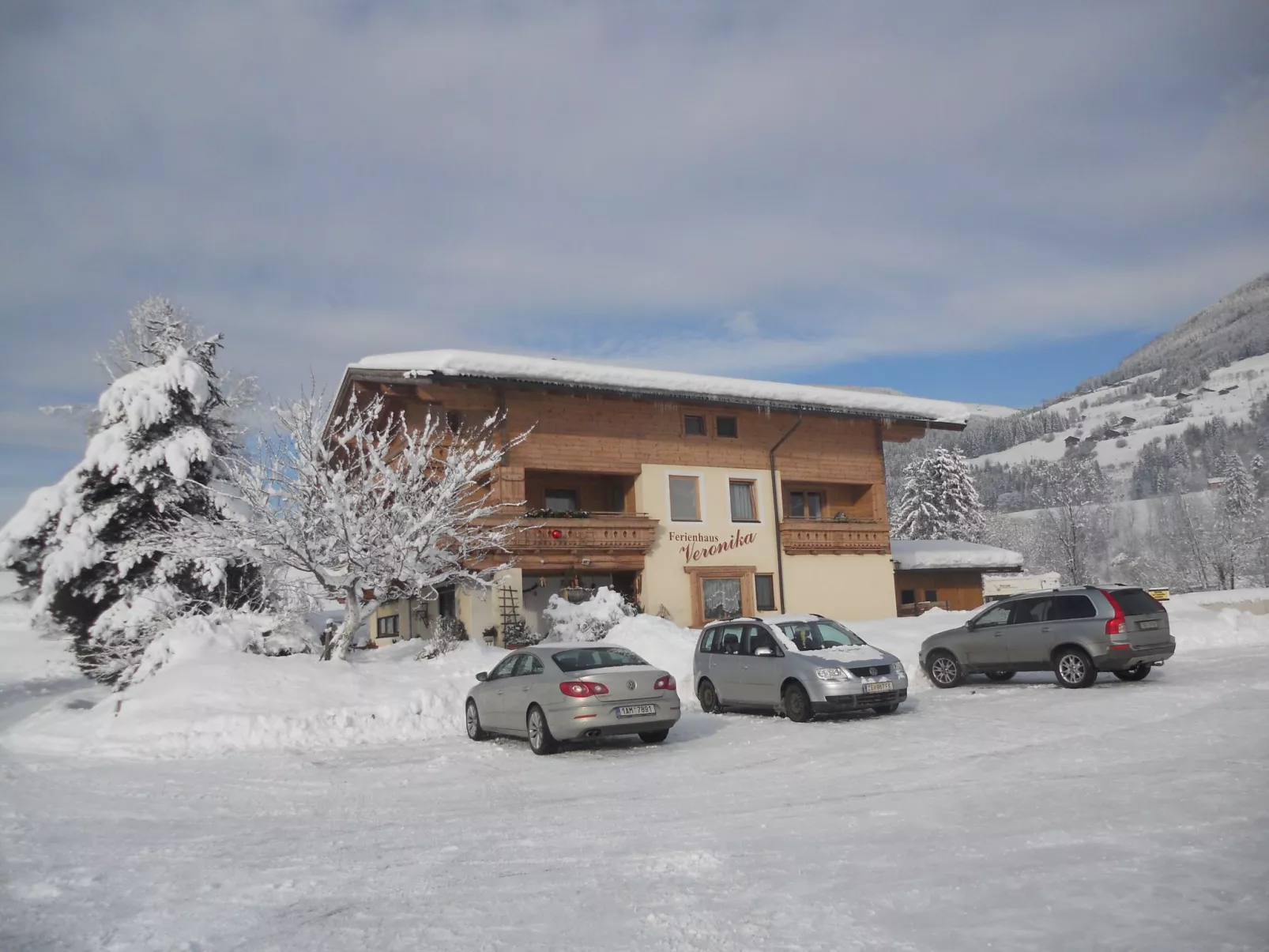 Wildkogel 1-Dehors