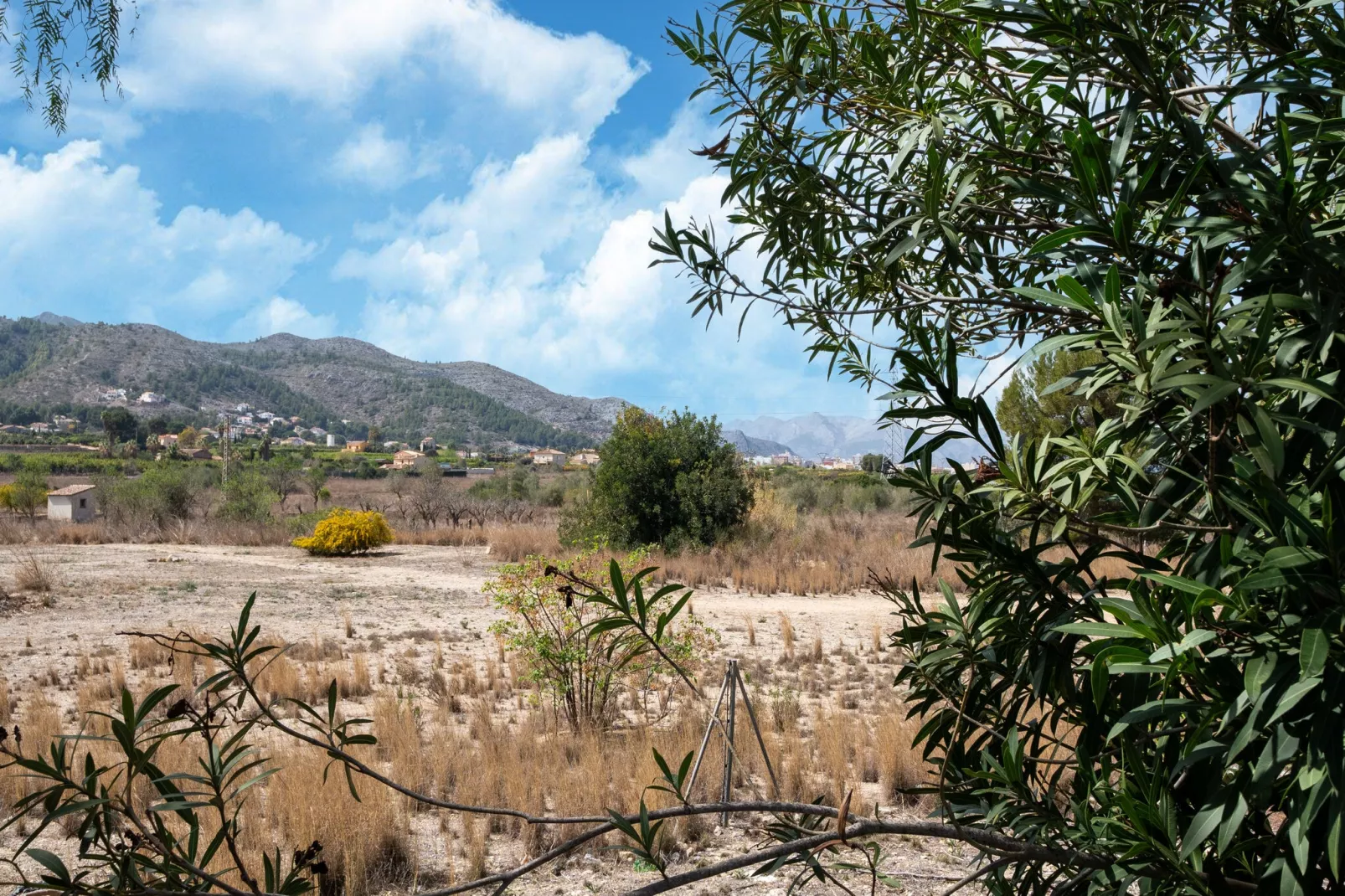 Alegria View-Areas summer 1km