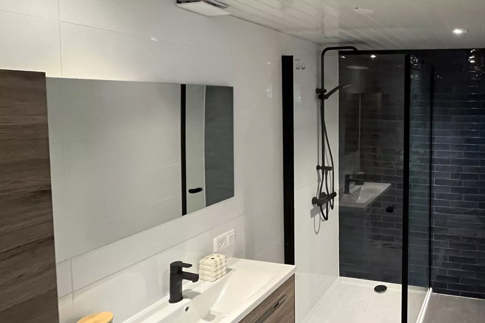 Familiehuis in Noordwijkerhout-Bathroom
