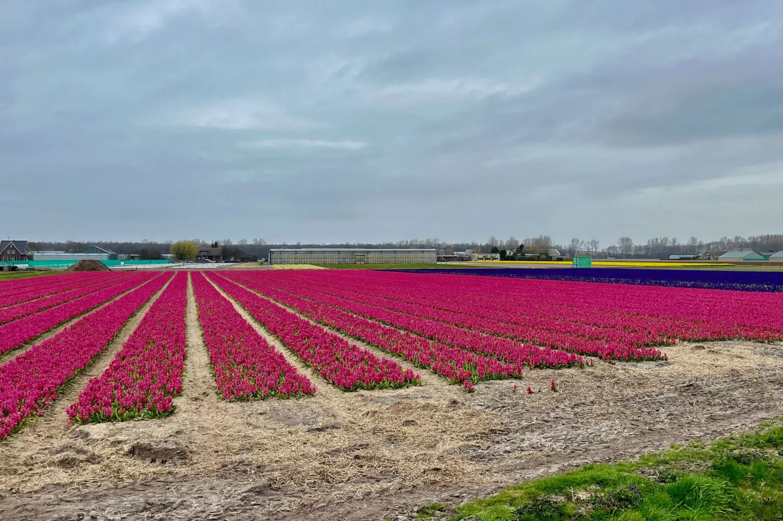 Familiehuis in Noordwijkerhout-Areas summer 5km
