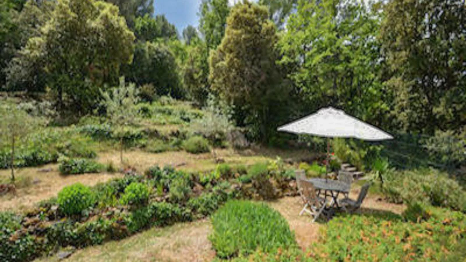 Lou Romarin-Gardens summer
