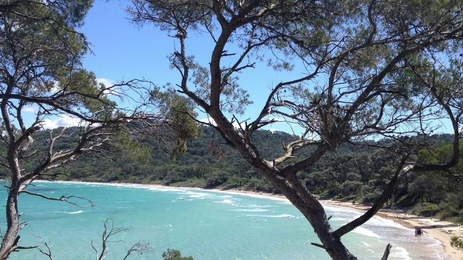 Lou Romarin-Areas summer 20km