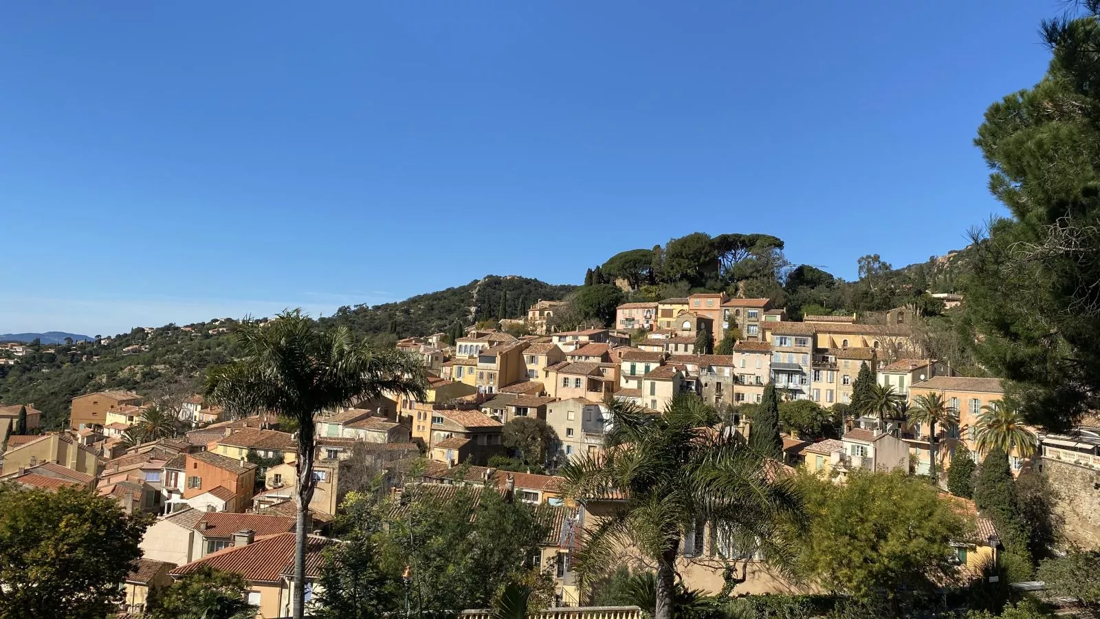 Lou Romarin-Areas summer 20km