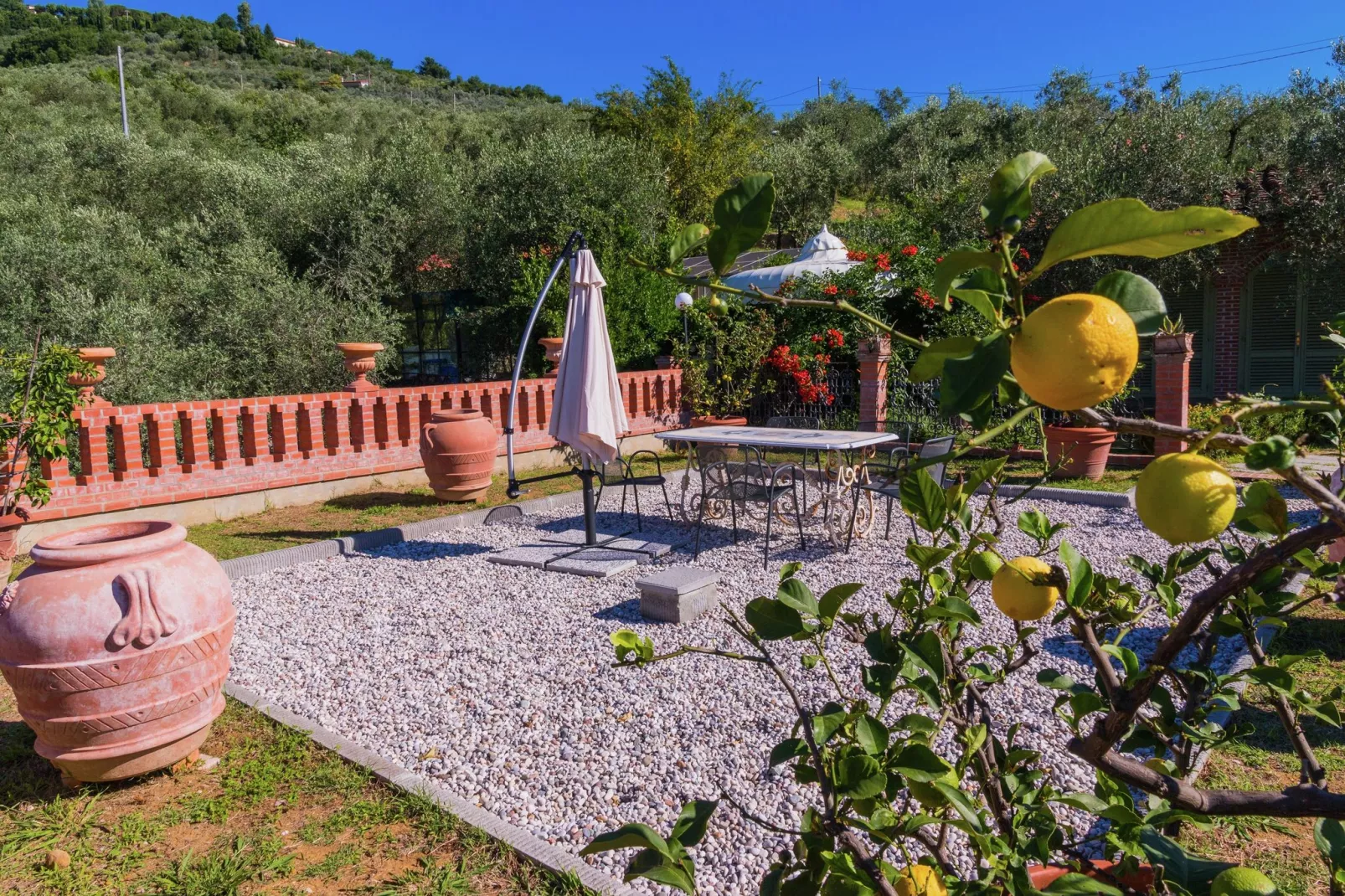 Papavero-Gardens in summer