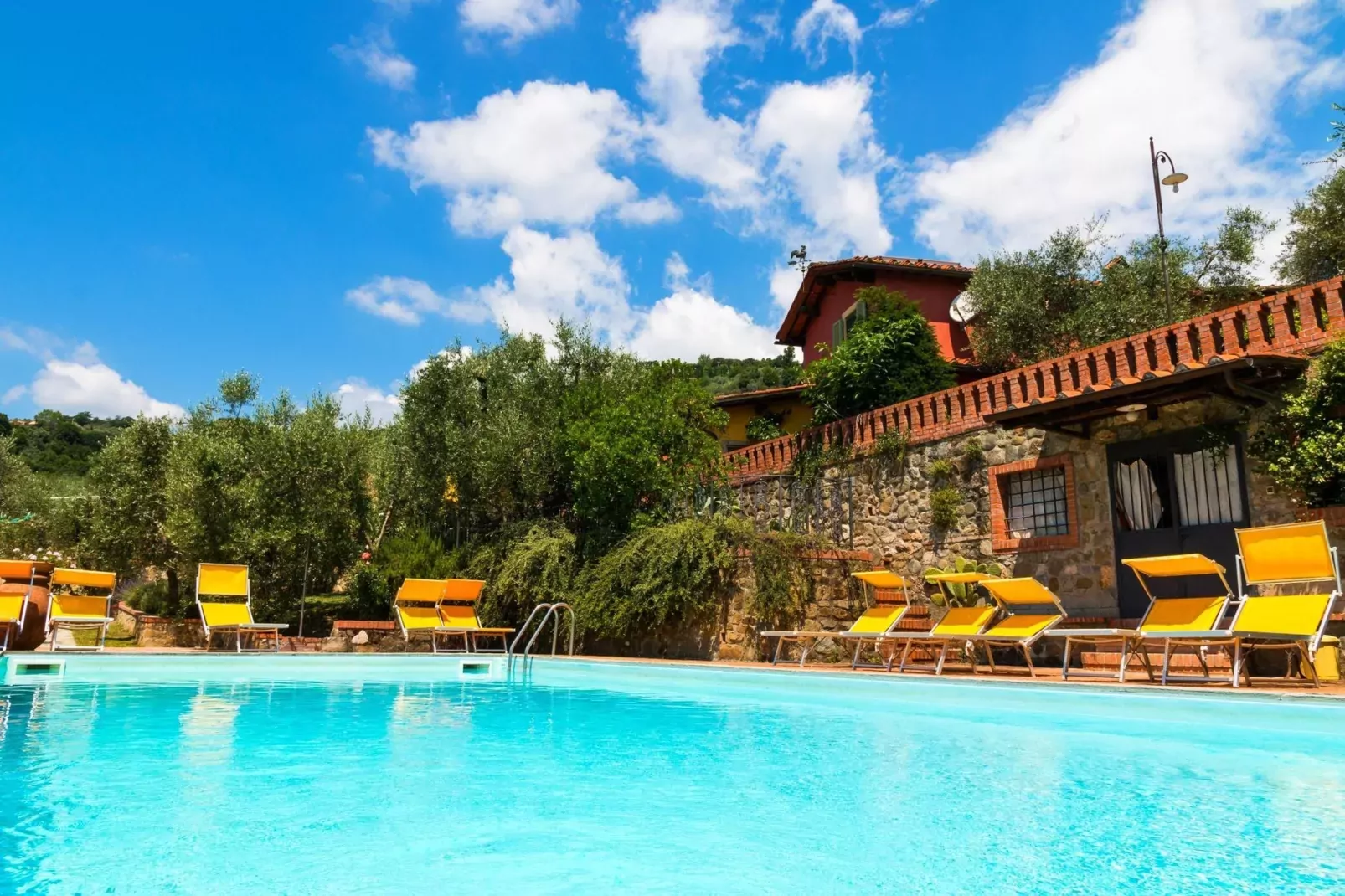 Papavero-Exterior in summer