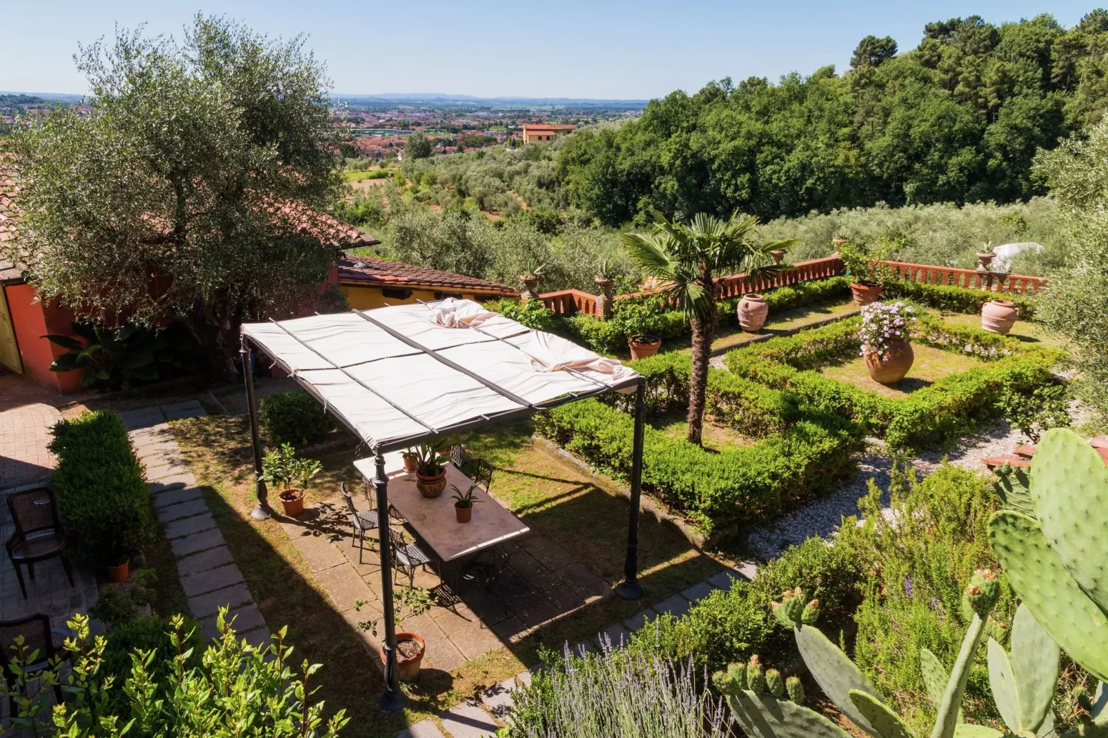 Papavero-View in summer