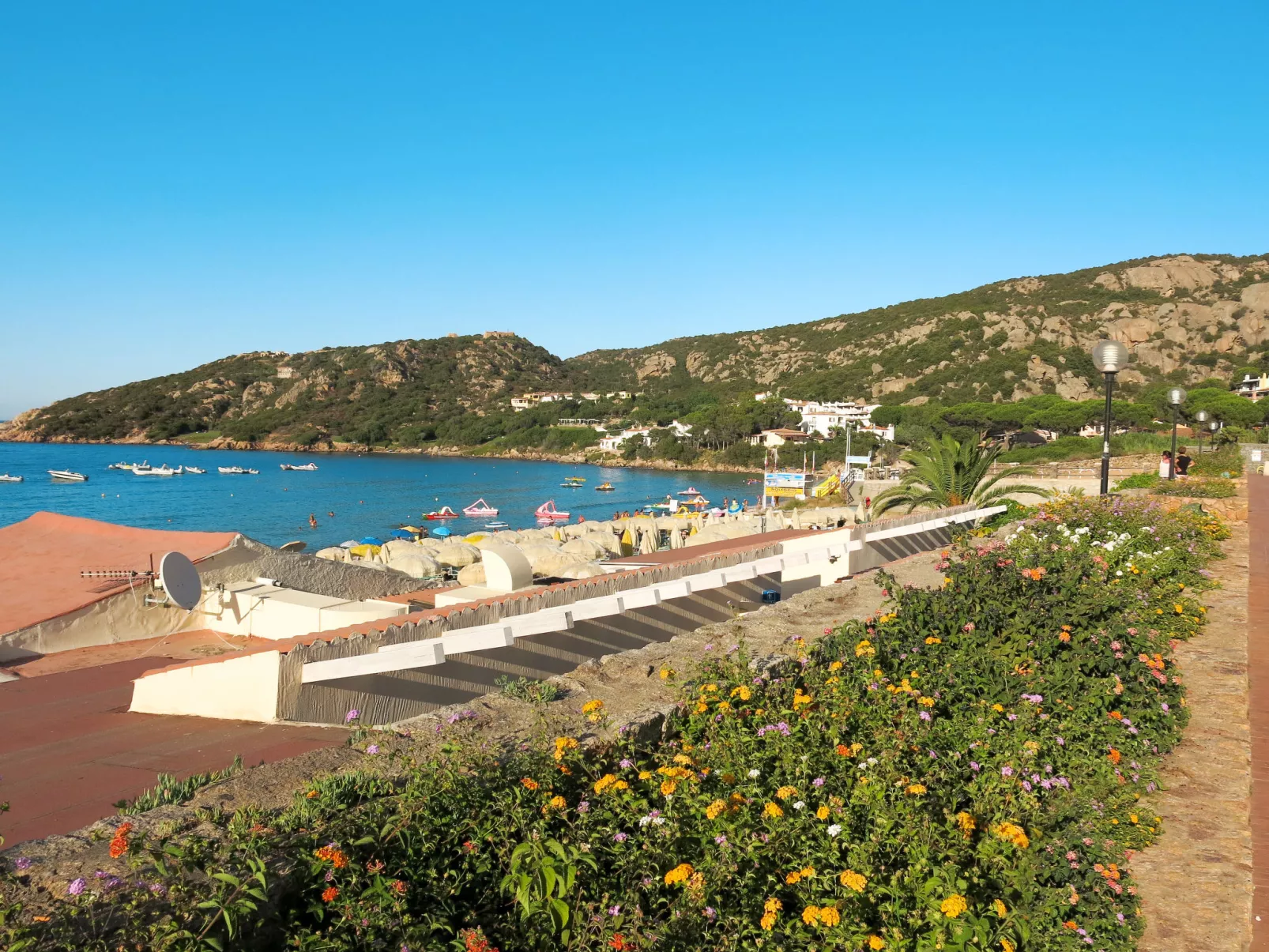 Shardinia-Area
