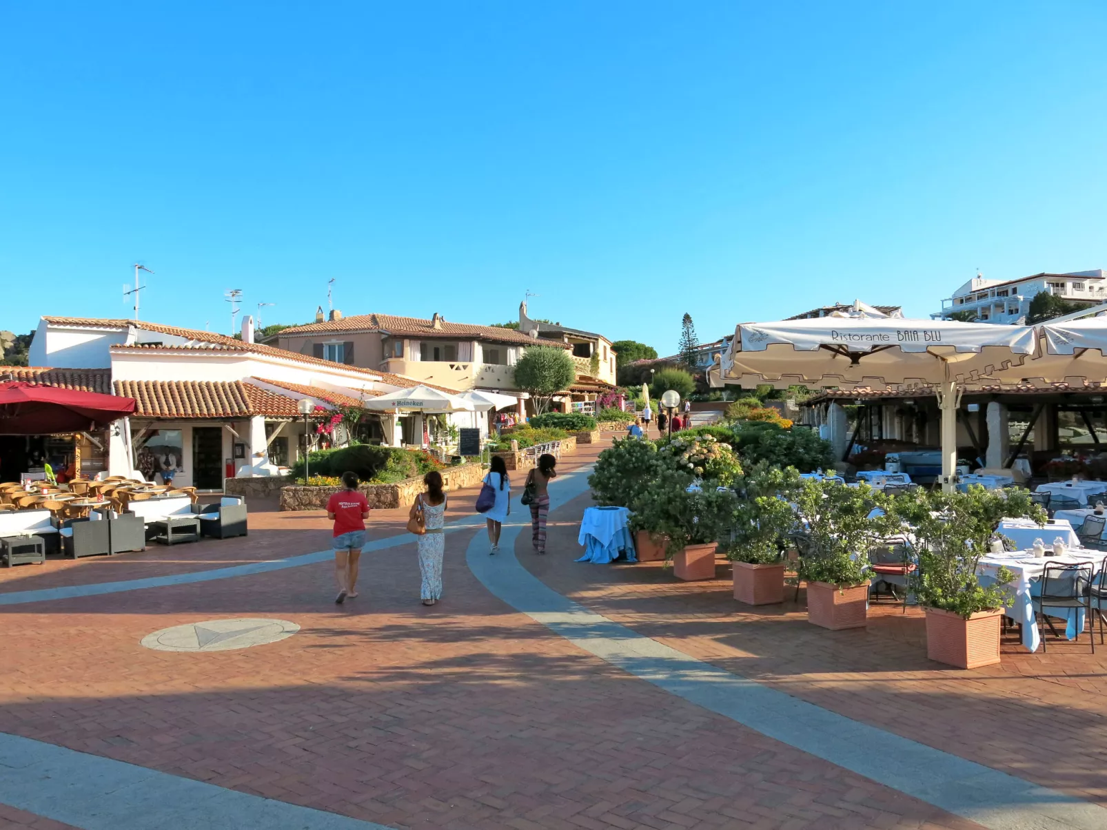 Shardinia-Area