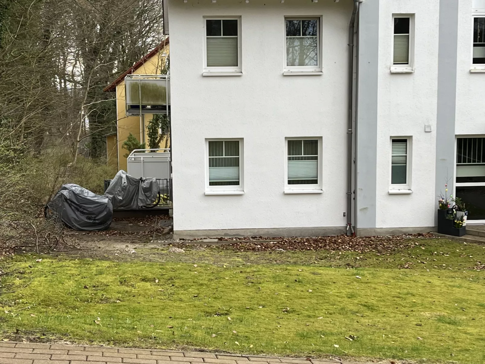 Seemöwe Lilli-Draußen