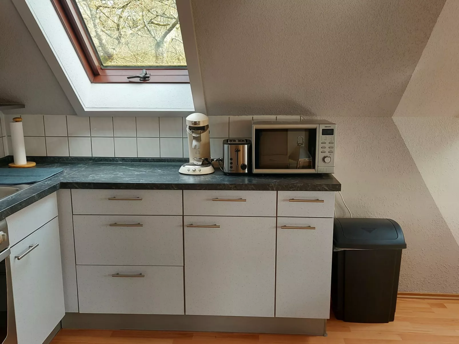 Sternberg 225-Inside
