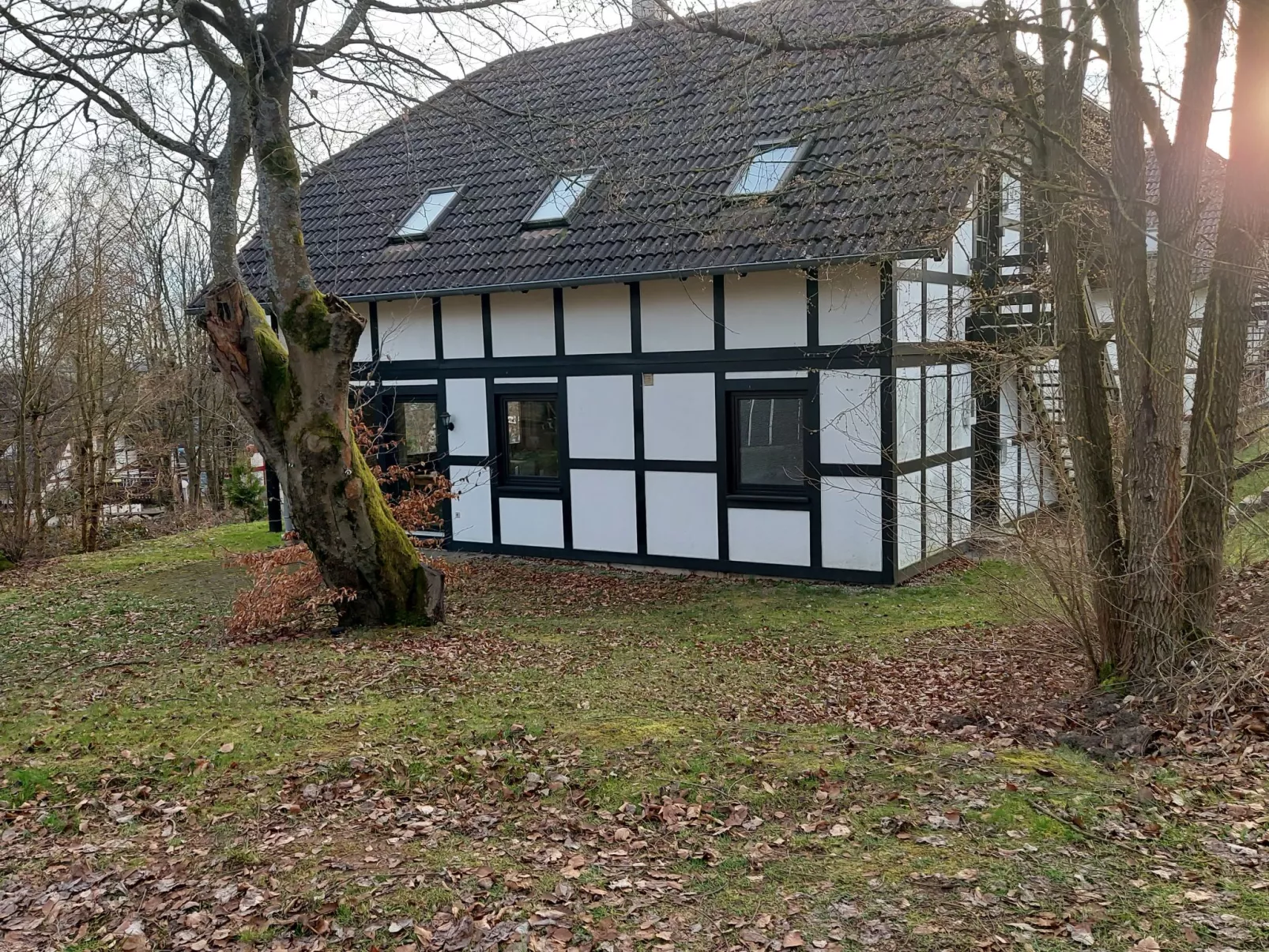 Sternberg 225-Outside