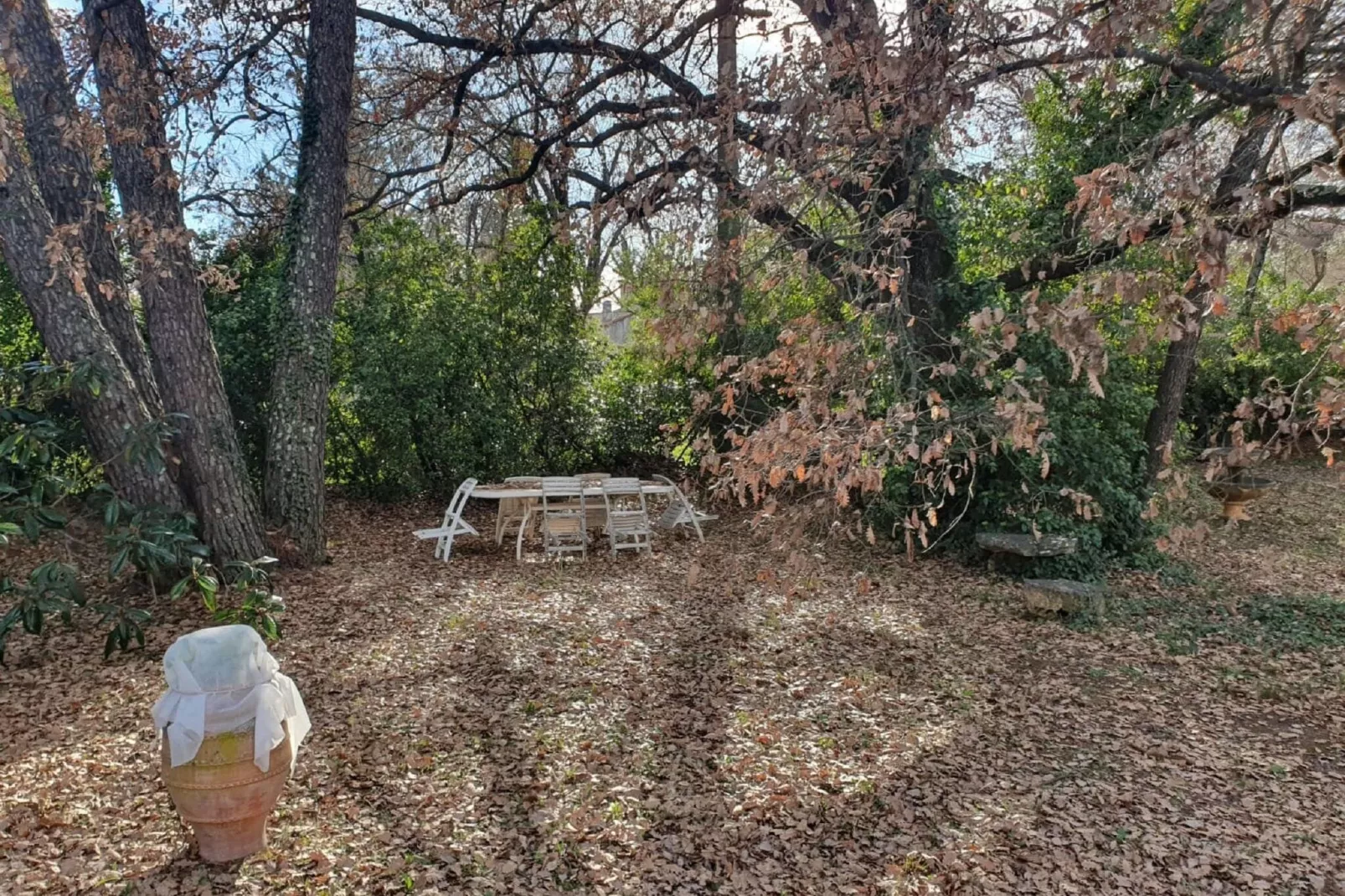 Villa GUIOL-Garden winter